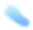 �V�g�̉H