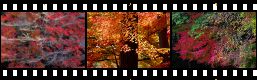 Autumn.jpg(10778 byte)