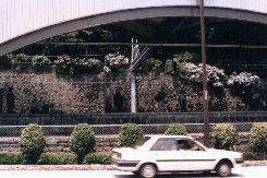 �������{�w���c�}���z�[��