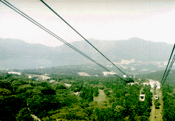 ������Ζh�q�����