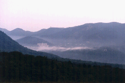 �����̔���