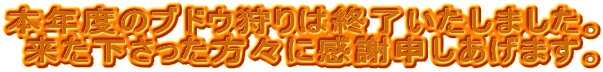 �{�N�x�̃u�h�E���͏I���������܂����B ���������������X�Ɋ��Ӑ\�������܂��B