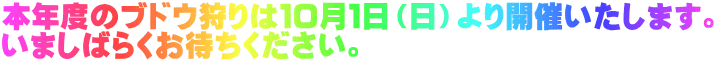 {Nx̃uhE͂POPijJÂ܂B ܂΂炭҂B