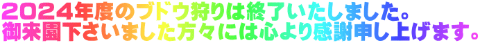 QOQSNx̃uhE͏I܂B 䗈܂Xɂ͐S芴Ӑ\グ܂B