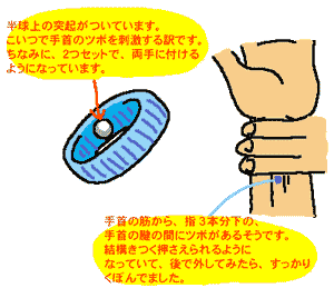 シーバンド