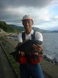 �g��ƍ���