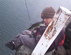 �m���ɂ�