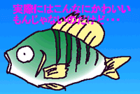 IMAGE(14KB)