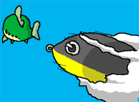 �������ˁI