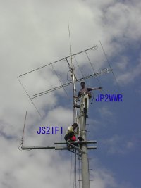 �����C����