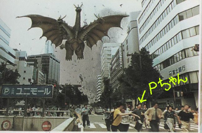 �����ʐ^�ł�