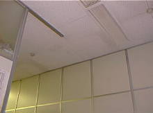 ���|�̌��@��Ђ̓V��