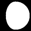 [11 day old Moon]